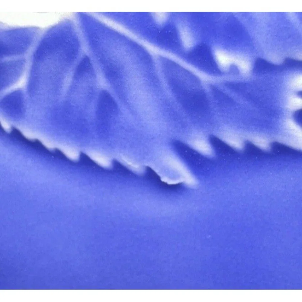Set Of 2 Bordallo Pinheiro Cobalt Blue Grapes, Vine, Leaves 9.4” Luncheon Plates
